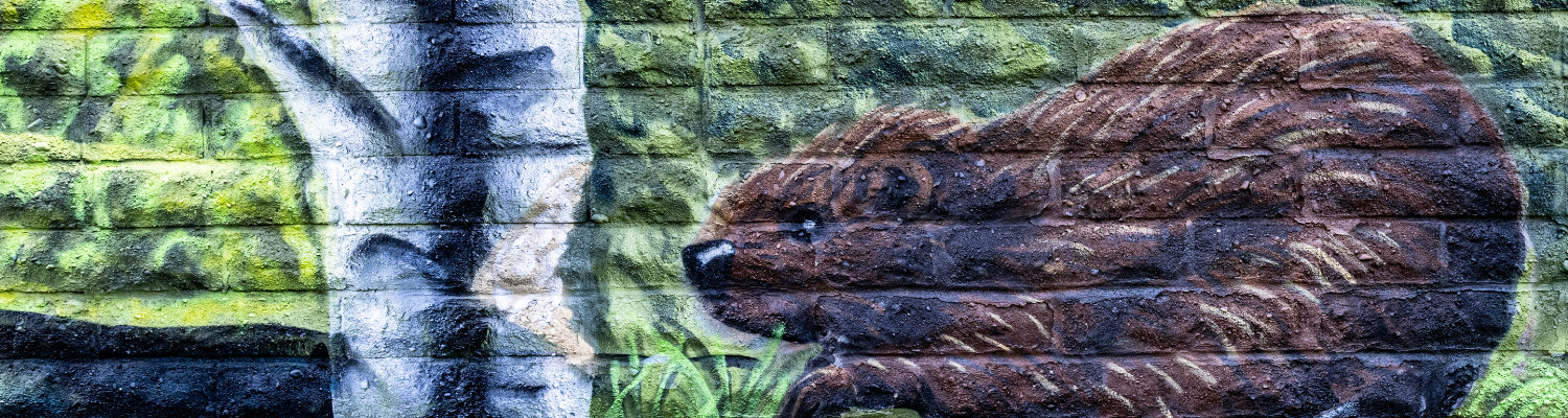 beaver mural