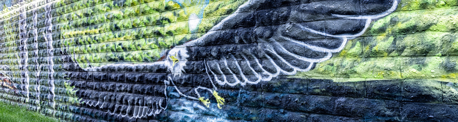 eagle mural